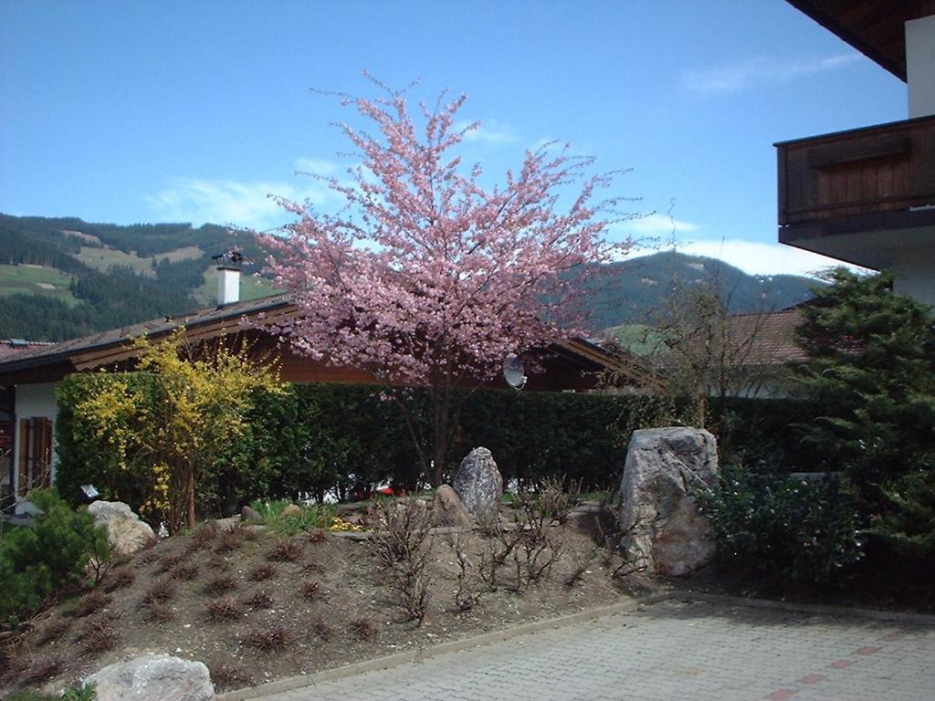 Pension Fuchs Brixen im Thale Esterno foto